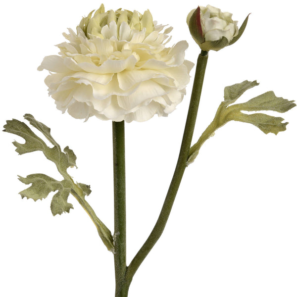 Green Ranunculus Spray - Canwell Interiors Limited - Hills