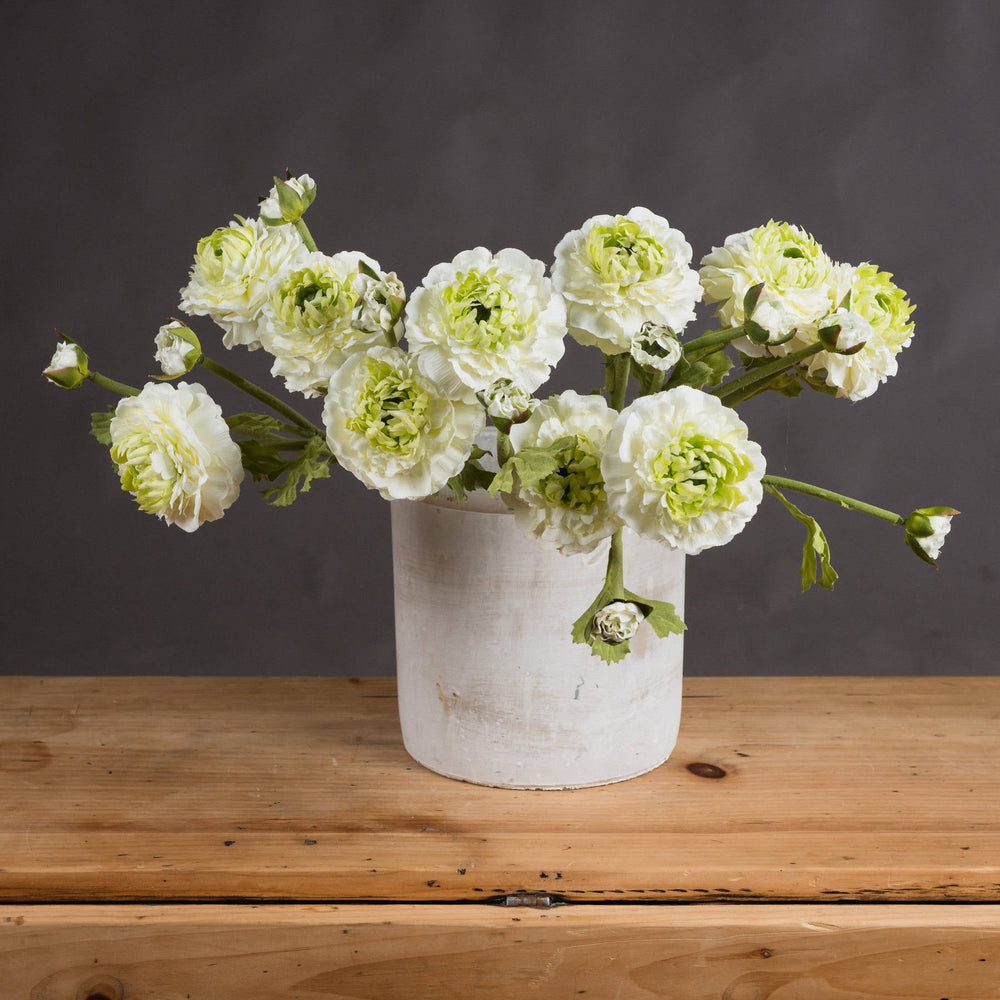 Green Ranunculus Spray - Canwell Interiors Limited - Hills
