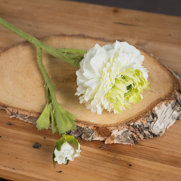 Green Ranunculus Spray - Canwell Interiors Limited - Hills