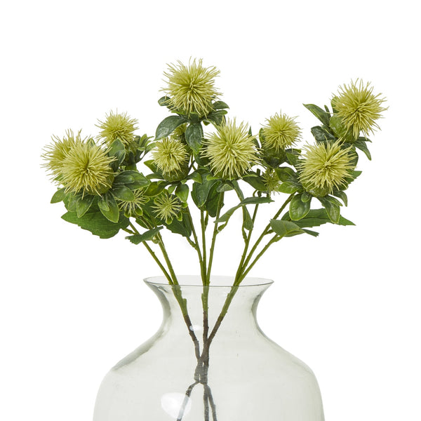 Green Safflower Spray - Canwell Interiors Limited - Hills