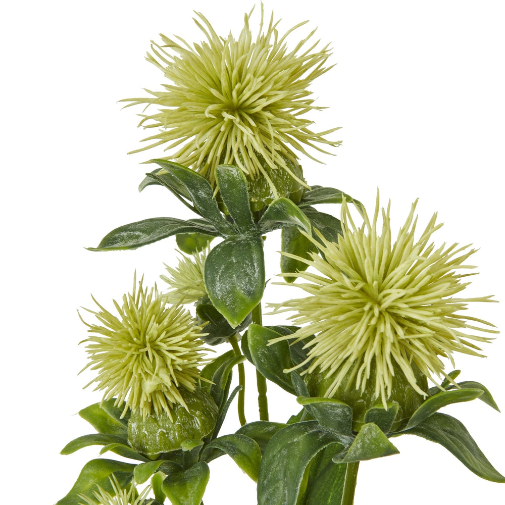 Green Safflower Spray - Canwell Interiors Limited - Hills
