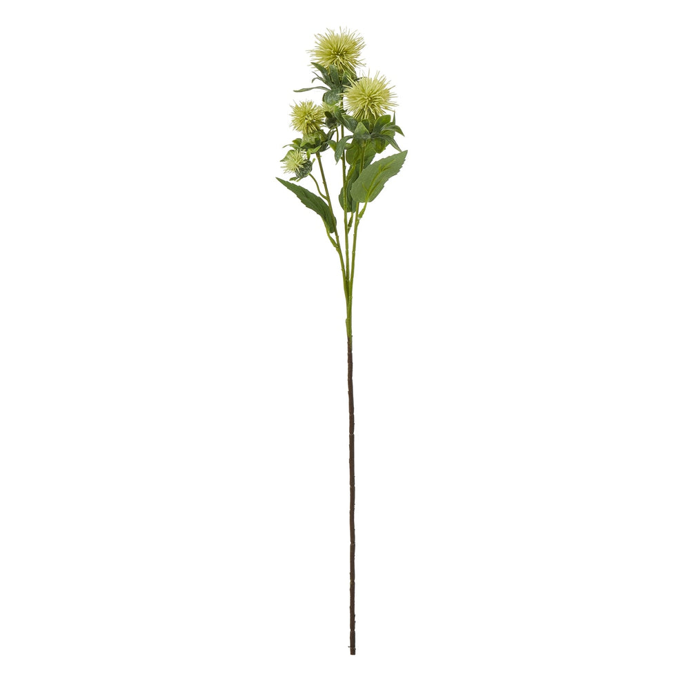Green Safflower Spray - Canwell Interiors Limited - Hills