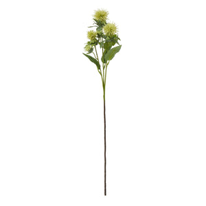 Green Safflower Spray - Canwell Interiors Limited - Hills