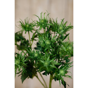 Green Sea Holly Spray - Canwell Interiors Limited - Hills