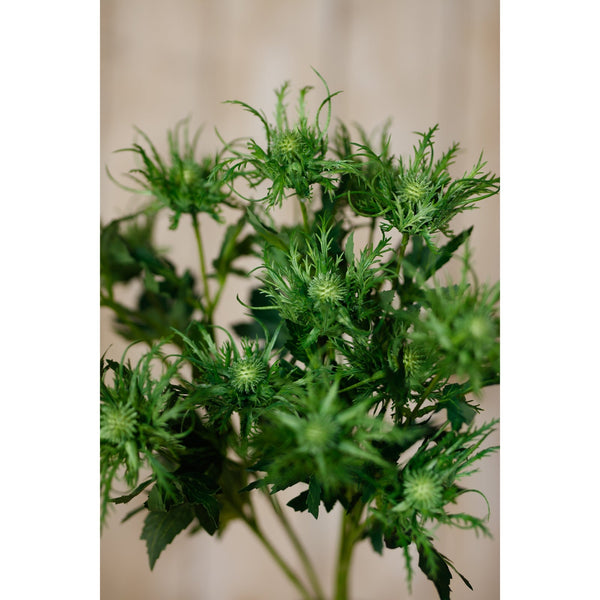Green Sea Holly Spray - Canwell Interiors Limited - Hills