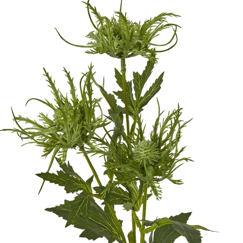 Green Sea Holly Spray - Canwell Interiors Limited - Hills