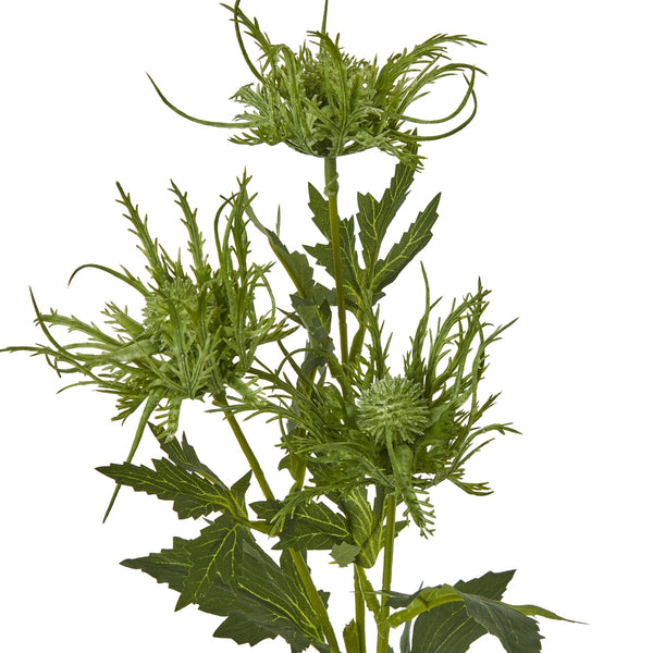 Green Sea Holly Spray - Canwell Interiors Limited - Hills