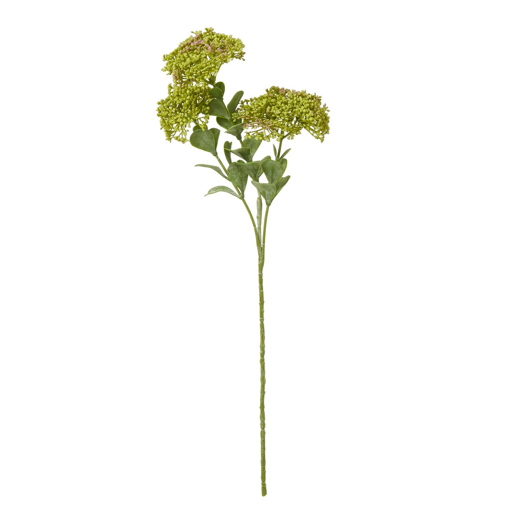 Green Sedum Spray - Canwell Interiors Limited - Hills
