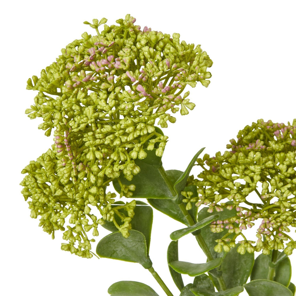 Green Sedum Spray - Canwell Interiors Limited - Hills