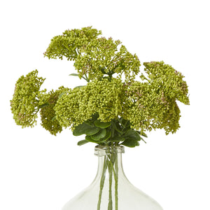 Green Sedum Spray - Canwell Interiors Limited - Hills