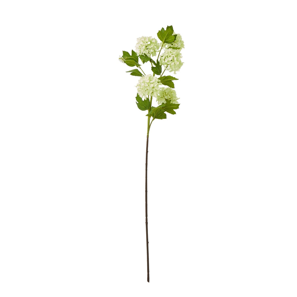Green Snowball Viburnum Spray - Canwell Interiors Limited - Hills