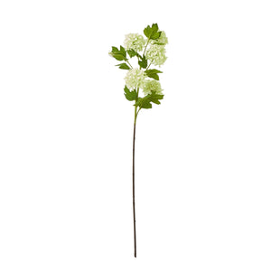 Green Snowball Viburnum Spray - Canwell Interiors Limited - Hills