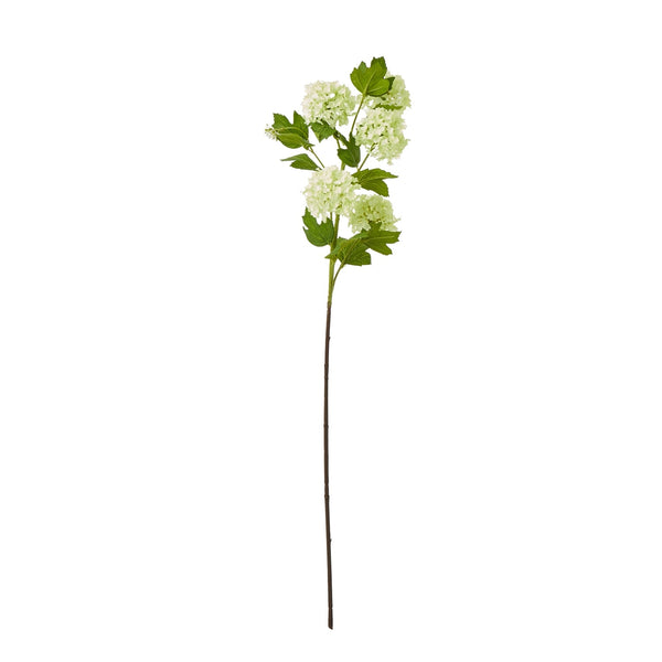 Green Snowball Viburnum Spray - Canwell Interiors Limited - Hills