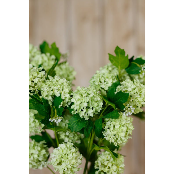Green Snowball Viburnum Spray - Canwell Interiors Limited - Hills
