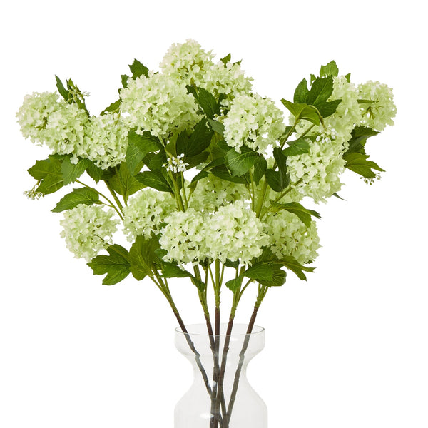 Green Snowball Viburnum Spray - Canwell Interiors Limited - Hills