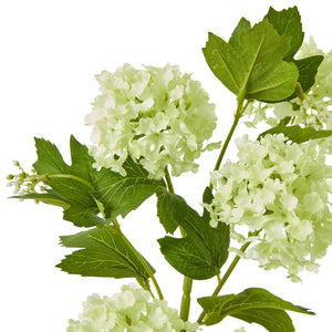 Green Snowball Viburnum Spray - Canwell Interiors Limited - Hills