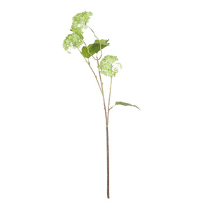 Green Viburnum Spray - Canwell Interiors Limited - Hills