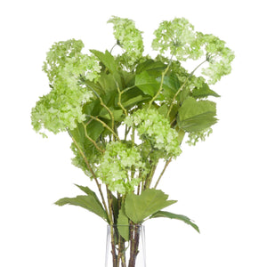 Green Viburnum Spray - Canwell Interiors Limited - Hills