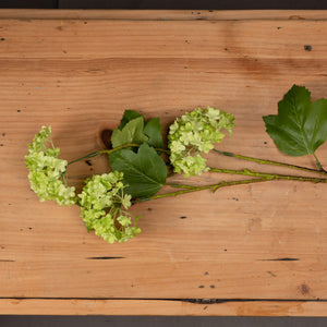 Green Viburnum Spray - Canwell Interiors Limited - Hills