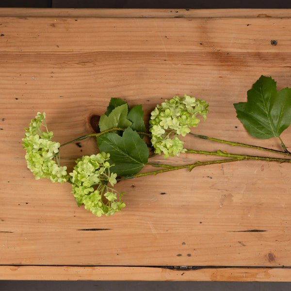 Green Viburnum Spray - Canwell Interiors Limited - Hills