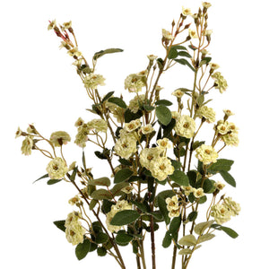 Green Wild Meadow Rose - Canwell Interiors Limited - Hills