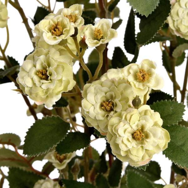 Green Wild Meadow Rose - Canwell Interiors Limited - Hills