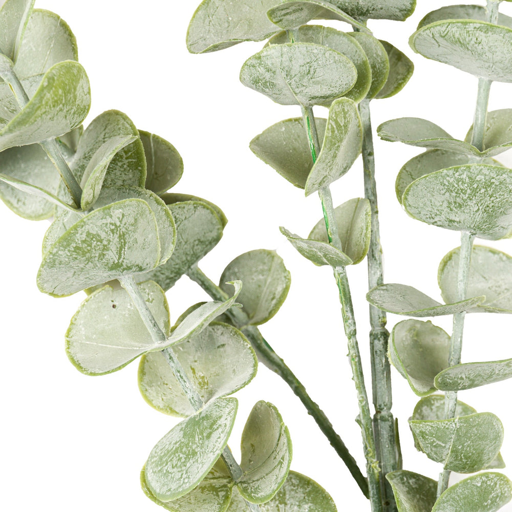 Gunnii Eucalyptus Spray - Canwell Interiors Limited - Hills