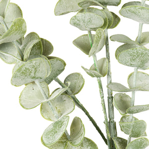 Gunnii Eucalyptus Spray - Canwell Interiors Limited - Hills