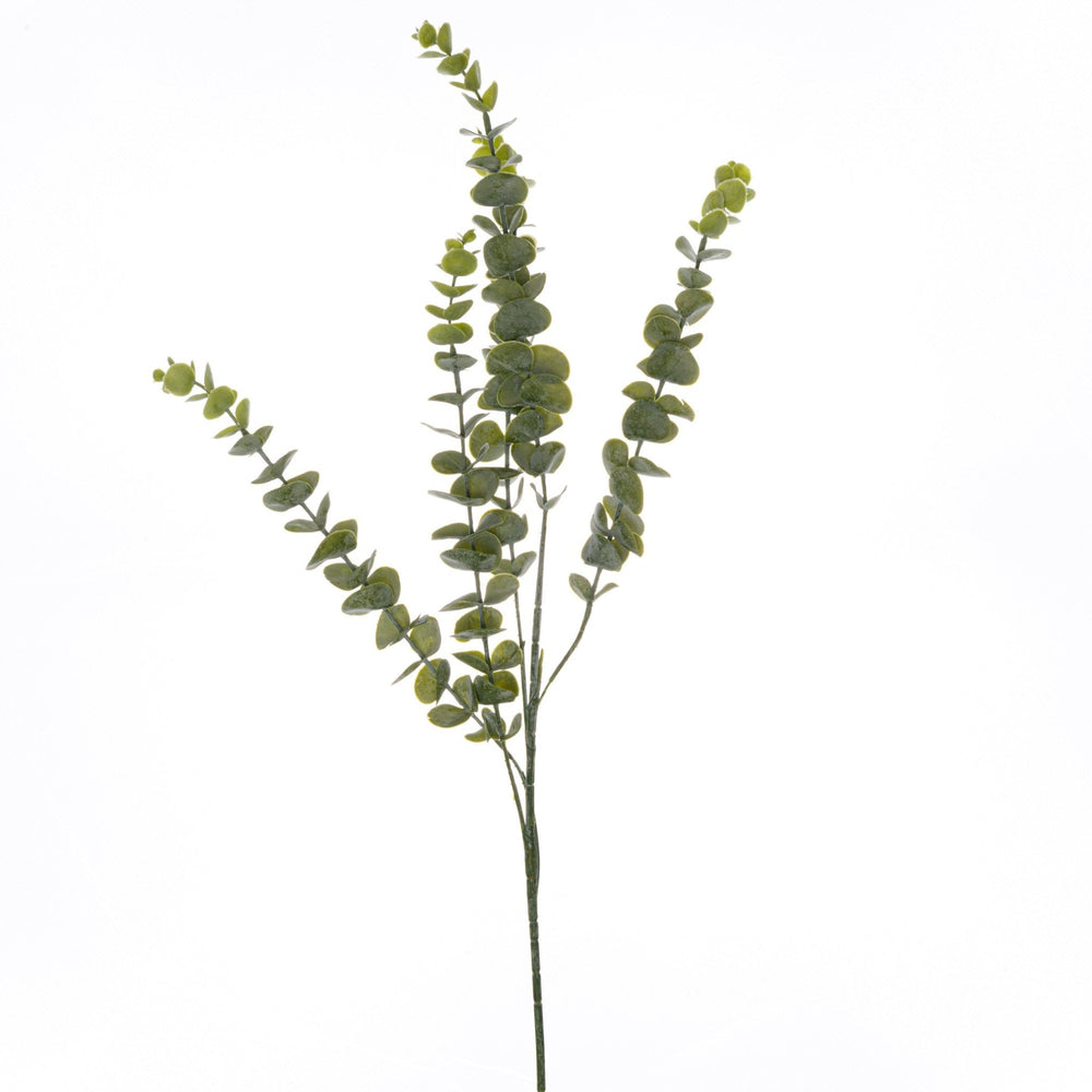 Gunnii Eucalyptus Spray - Canwell Interiors Limited - Hills