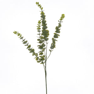 Gunnii Eucalyptus Spray - Canwell Interiors Limited - Hills