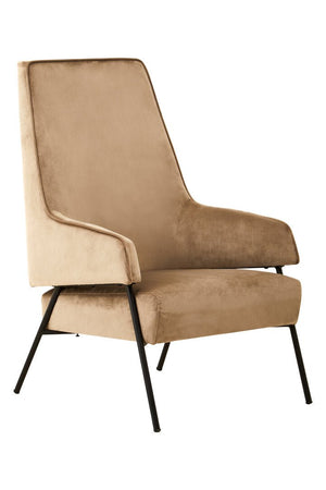 Henia Mink Velvet Chair - Canwell Interiors Limited - Xshowhome