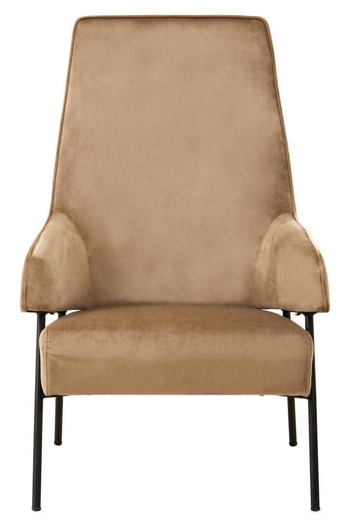 Henia Mink Velvet Chair - Canwell Interiors Limited - Xshowhome