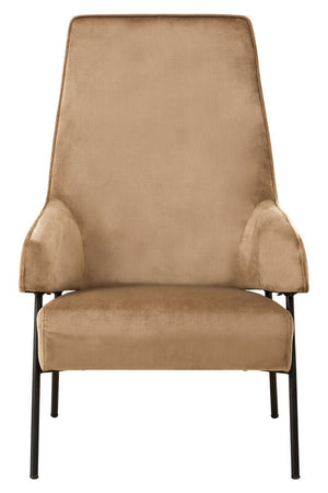 Henia Mink Velvet Chair - Canwell Interiors Limited - Xshowhome