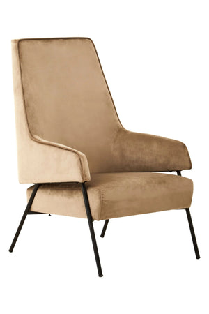 Henia Mink Velvet Chair - XShowhome Limited - Xshowhome