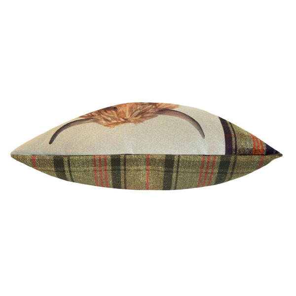 Hunter Highland Cow 43x43 Feather Filled Cushion Multicolour - XShowhome Limited - Riva