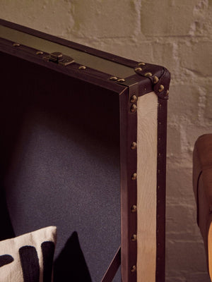 Kensington Townhouse Brown And White Genuine Cowhide Storage Trunk - Canwell Interiors Limited - Xshowhome