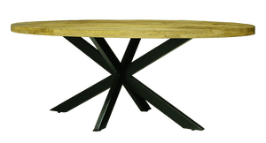 Kerela Oval Spider Leg Dining Table 200cm - XShowhome Limited - Jaipur