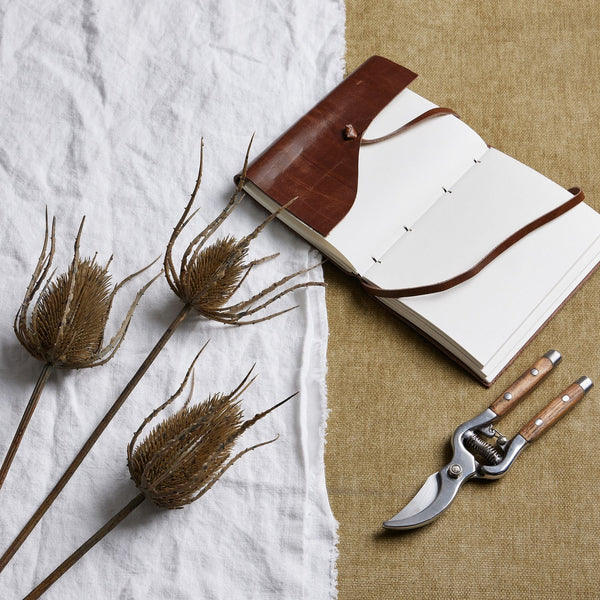 Large Brown Triple Teasle Stem - Canwell Interiors Limited - Hills