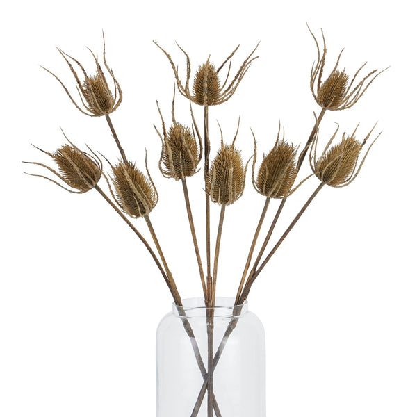 Large Brown Triple Teasle Stem - Canwell Interiors Limited - Hills