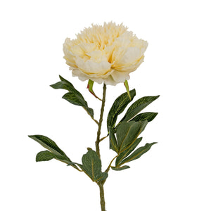 Large Buttermilk Double Peony Stem - Canwell Interiors Limited - Hills