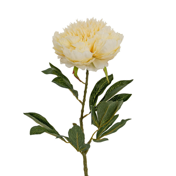 Large Buttermilk Double Peony Stem - Canwell Interiors Limited - Hills