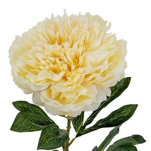 Large Buttermilk Double Peony Stem - Canwell Interiors Limited - Hills