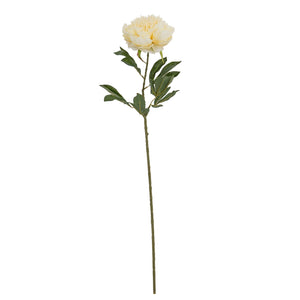 Large Buttermilk Double Peony Stem - Canwell Interiors Limited - Hills