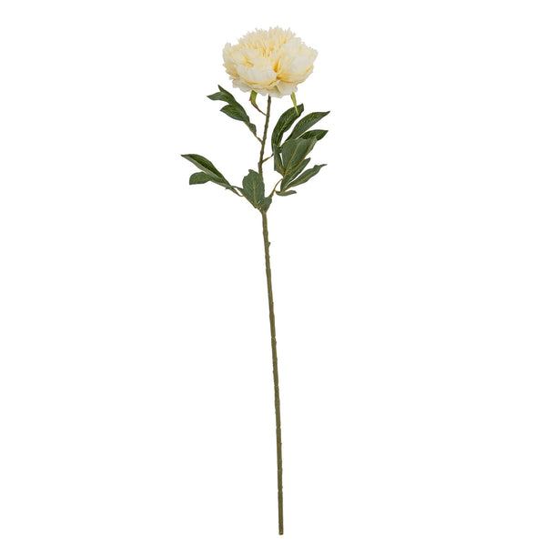 Large Buttermilk Double Peony Stem - Canwell Interiors Limited - Hills