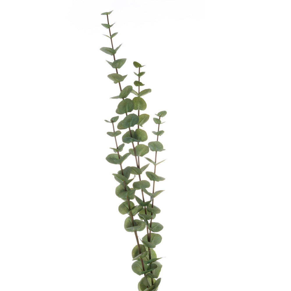 Large Cineraria Eucalyptus Spray - Canwell Interiors Limited - Hills