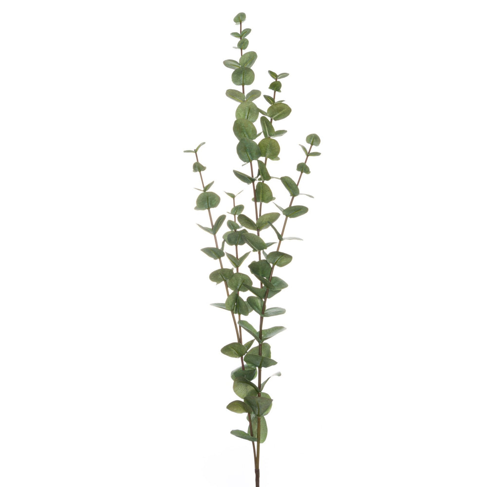 Large Cineraria Eucalyptus Spray - Canwell Interiors Limited - Hills