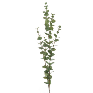 Large Cineraria Eucalyptus Spray - Canwell Interiors Limited - Hills