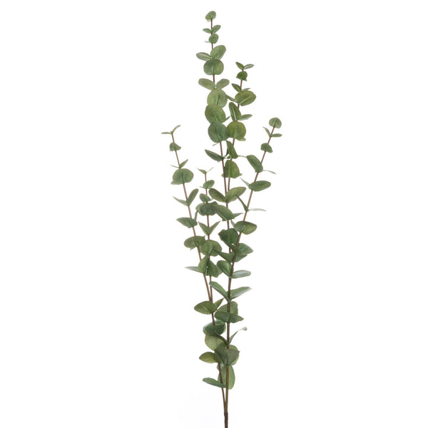 Large Cineraria Eucalyptus Spray - Canwell Interiors Limited - Hills