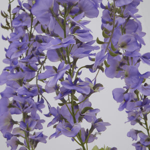 Large Purple Wisteria Spray - Canwell Interiors Limited - Hills