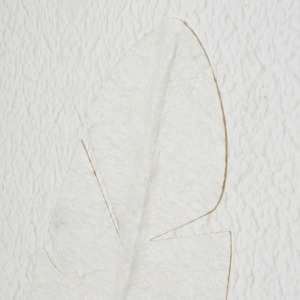 Large Quill White Feather Art Mounted in Beaded Frame - Canwell Interiors Limited - Hills